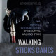 Walking Sticks-Canes