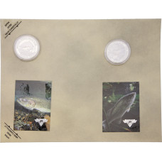 Collectible Coin Salmon Bass