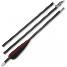 Carbon Arrow Kit