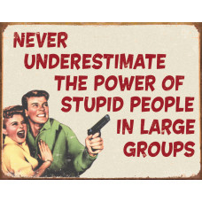 Stupid People