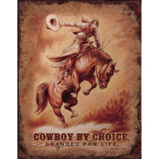 Cowboy by Choice…