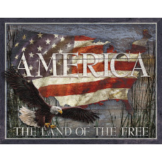 America Land of Free